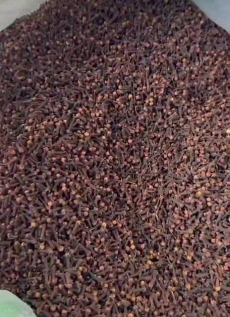 cloves - Image 1