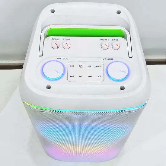 High Quality Double 8 Inch Party Box Speakers with Wireless Microphone - Image 6