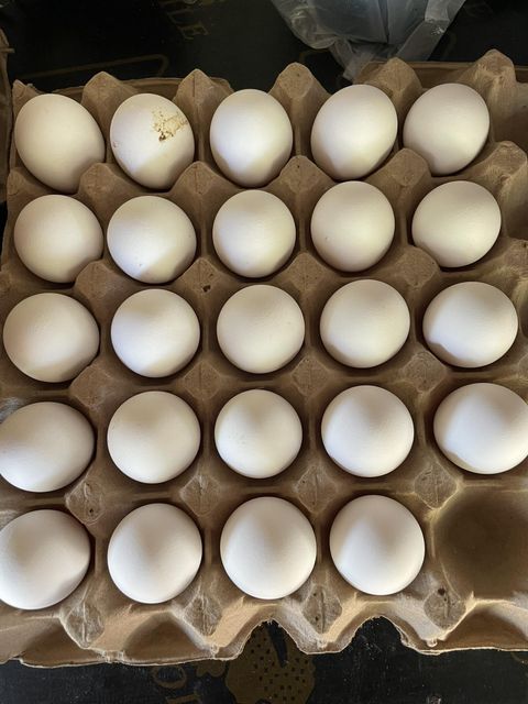 Fertile Hatching Chicken Eggs & Fresh Table Eggs (Brown/White) with Yolk-Quail Eggs - Image 2