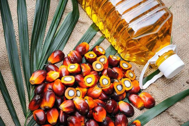 Crude Red Palm Oil and Refined Palm Oil 1L, 2L, 3L, 5L to 25L Fore More Details whatsap - Image 1
