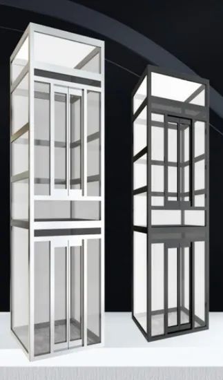 Factory Direct Sales Homes Passenger Elevator Price Persons <5 Origin China Model NO. 007 HS Code 842810 Speed <1.00m/s Capacity - Image 1