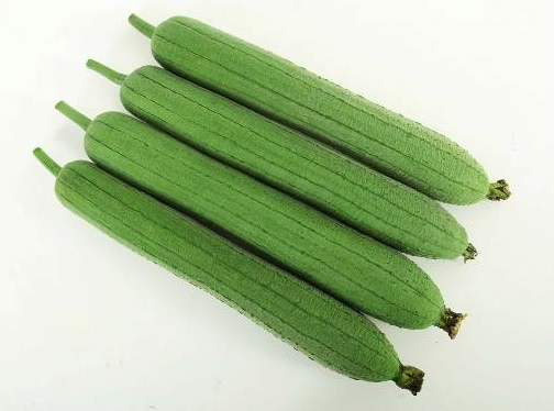 Fresh Sponge Gourd - Image 4