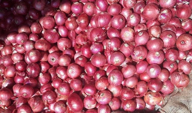 Red Onions Grade 55mm+ Texture Crisp Shelf Life Extended Origin Nashik, India Flavor Strong Sweetness Type Red Onion, Garva Onion - Image 2
