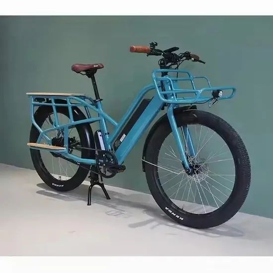 Adult Fashion Color Cargo Bike 500W Rear Hub Motor - Image 6