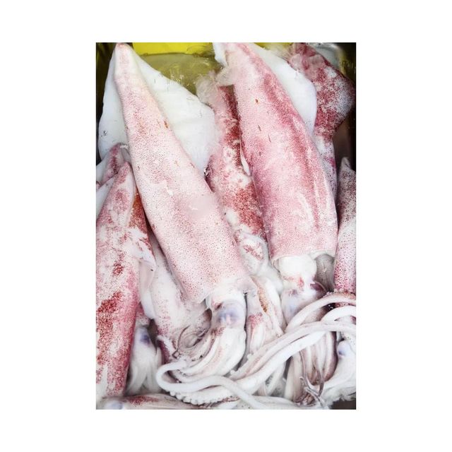 Frozen Squid Tubes And Tentacles Carefully Processed For Restaurant Menus Wholesale Seafood Purchasing And Export - Image 4