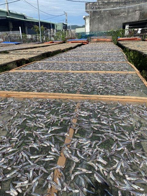 Dried Anchovies Tanzania Wholesale - Premium Quality Export - Image 3