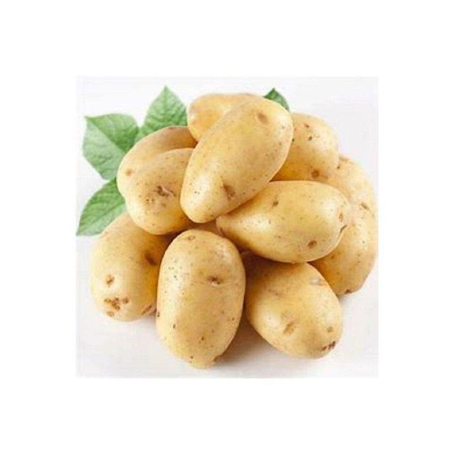 Best Quality Fresh Potato/Vegetable Potatoes Grade A - Wholesale/Bulk - Image 3