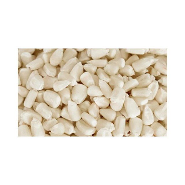 Bulk white maize for sale ideal for wholesalers and distributors - Image 3