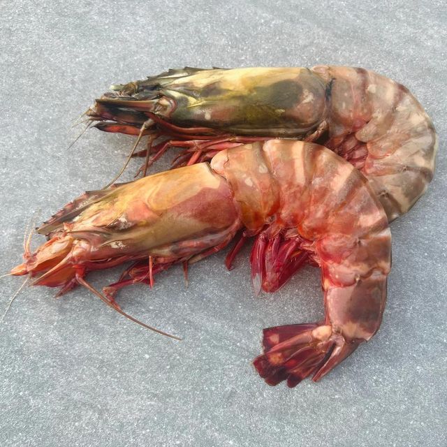 Frozen Fresh Shrimps Premium Seafood Choice Featuring Natural Moisture Balance And Hygienic Handling Standards - Image 4