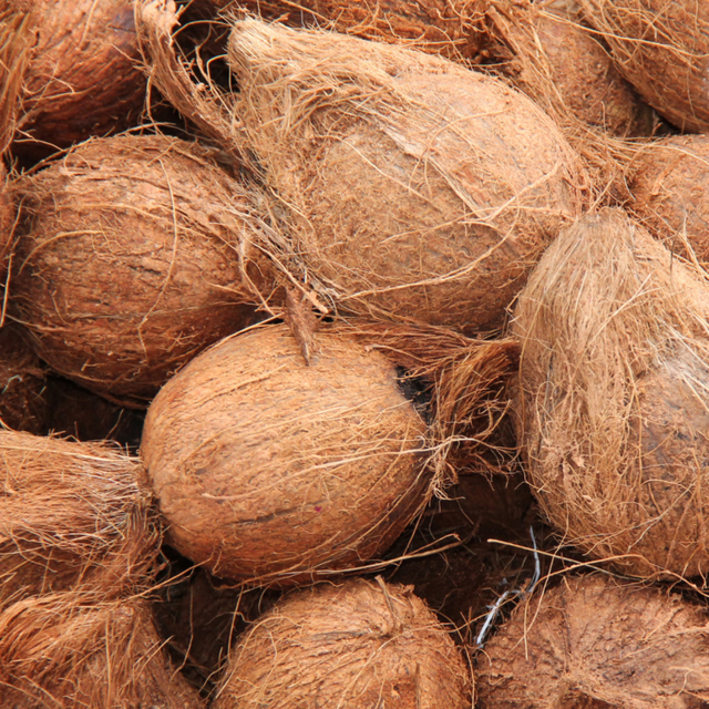 Semi Husked Coconut - Image 1