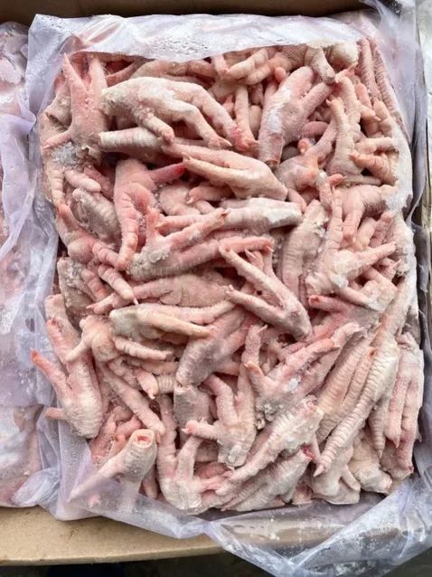 Frozen Chicken Paws - Image 3