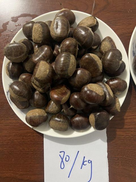 Sweet Chestnuts - Image 2