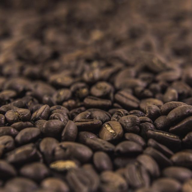 Screen 18 Robusta Coffee Bean Bulk Shipment Natural Process Robusta Coffee Bean For Global Coffee Industry - Image 4