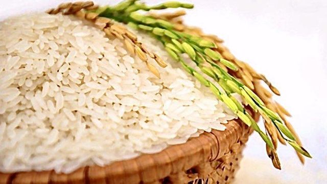 Premium Vietnamese Jasmine Rice – Long Grain Export Quality - Image 4