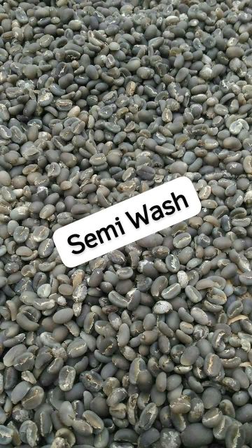 West Java Arabica Green Bean Coffee ( Java Preanger ) - Semiwash ProcessArabica – product photo 3, product detail gallery