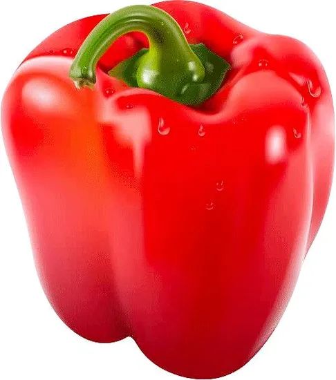 Good Quality Fresh Bell Pepper, Green/Red/Yellow Bell Pepper Type Fresh Shape Round Kind Bell Pepper Packaging Carton Trademark - Image 5