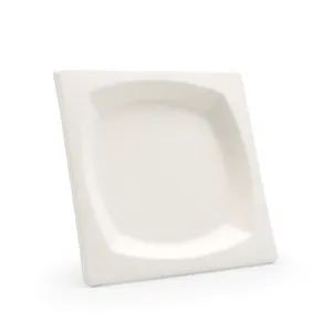 Disposable Sugarcane Bagasse Food Box 100% Compostable Pulp Biodegradable Cutlery Takeaway Tableware - Image 5
