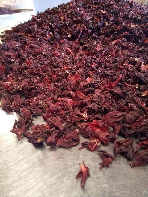 Dried Hibiscus Flowers Premium Export Grade Grade A Type Conventional Packaging 25 kg PP Bags / Cartons (or as per buyer request) - Image 3