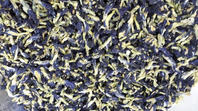 Butterfly Pea Origin Indonesia Features Organic Product Type Spices, Seasonings & Flavors - Image 3