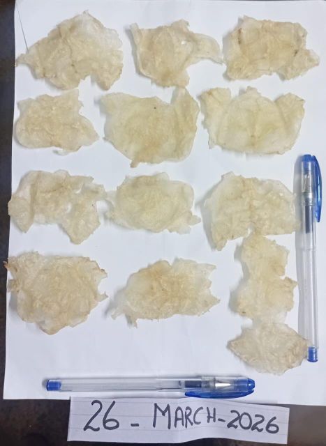 Cat Fish Maw ( Fishmaw ) Quality Premium quality Packaging Details As per demand Drying Process Natural sun dried Address Karachi Fisheries, West Wharf Karachi - Image 3