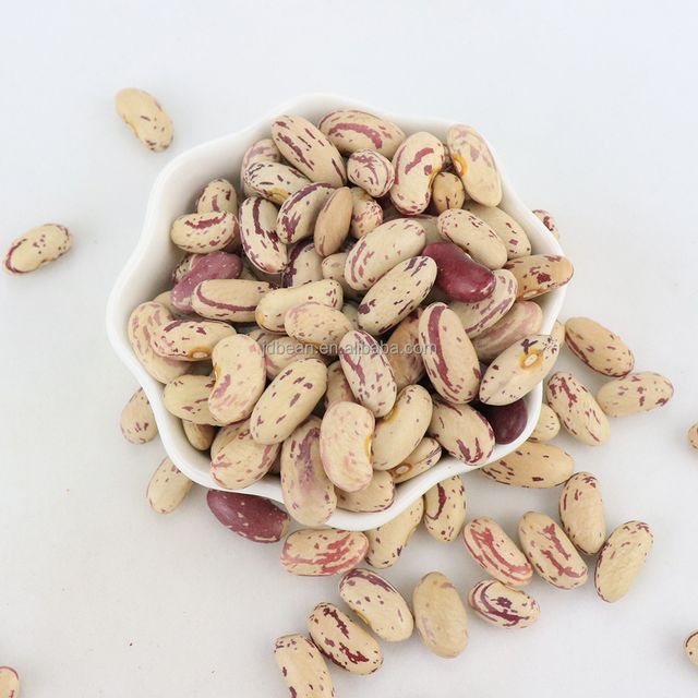 Pinto Beans Organic Dried Light Speckled Kidney Beans Sugar Beans - Image 4