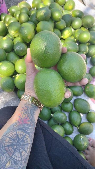 green lemon - Image 2