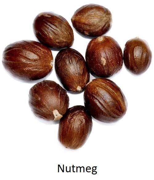 Nutmeg – Premium Export Quality Shelf Life Extended Color Natural Brown Product Type Spices Essential Oil Content Rich Origin India, India (kerala) - Image 1