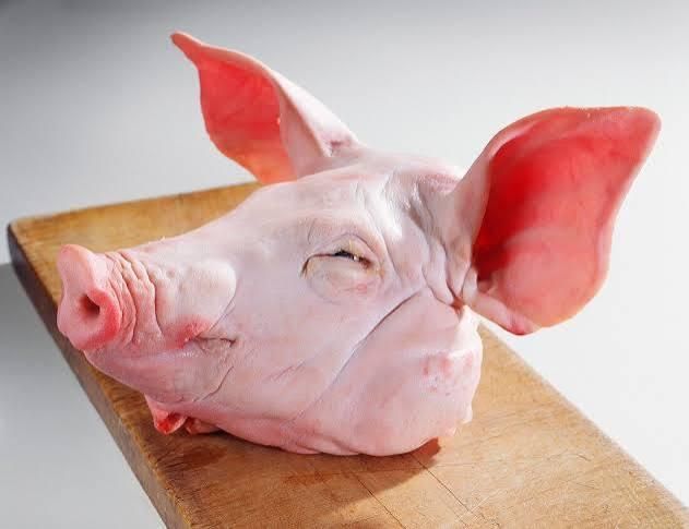 FROZEN Pork Head Bulk 100% Natural Organic Grade a Ready for Shipment Any Port of Your Choice - Image 3