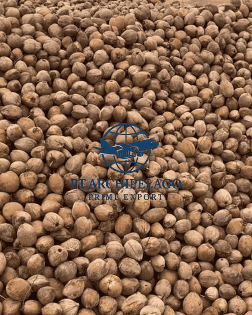 coconut mature / coconut old /semi husk coconut - Image 4