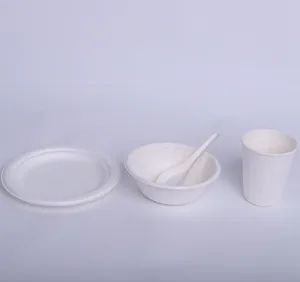 Disposable Tableware Meal Box Bowl Origin China OEM Avaliable Model NO. P-1 Shape Customize Color Customize Certification - Image 2