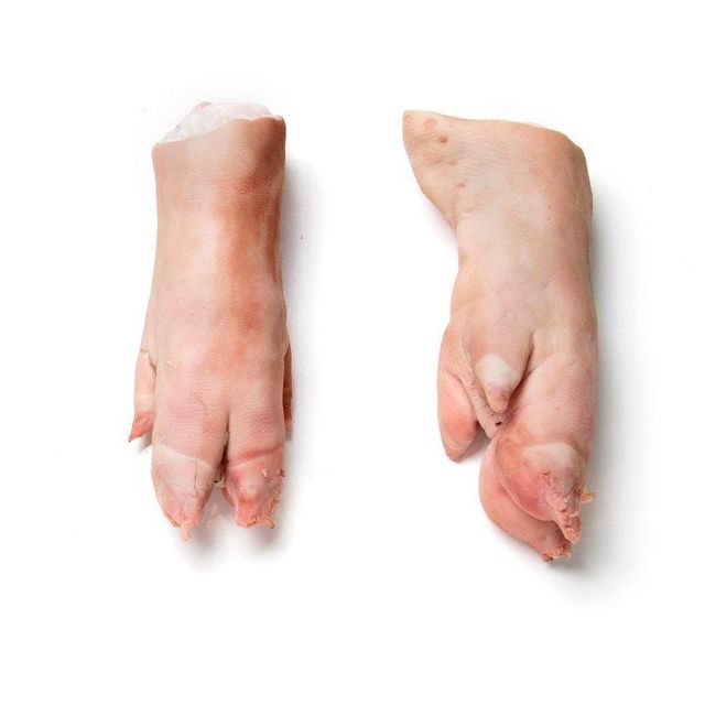 Halal Pork Meat Frozen Porks Feet / Meat Pork Frozen Pork Liver Frozen Frozen Porks Tail Ears Legs Hind Frozen Porks Feet supplier HIGH QUALITY FROZEN PORK FEET/PORK HEAD MEAT/FROZEN PORK BELLY FOR SALE - Image 3
