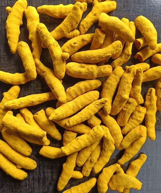 Turmeric finger – product photo 1, product detail gallery