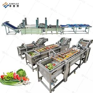 Commercial Fruit Vegetable Processing Line Bubble Washing Drying Sorting Machine for Mango Avocado Date Orange Lemon - Image 2
