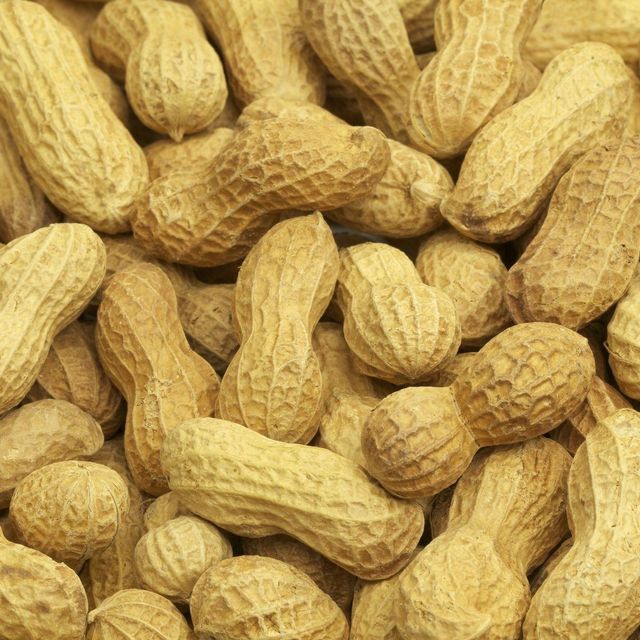 High Protein Peanuts Bulk Supply Natural Peanuts For Nut Processing Factories Healthy Food Production And Global Buyers - Image 1