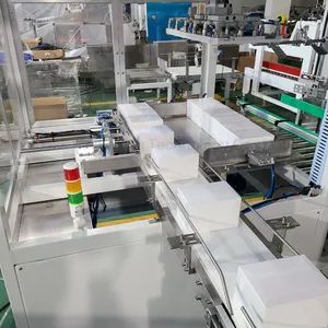 Full Automatic Box Case Carton Sealing Cartoning Machine for Bulk Gloves - Image 5
