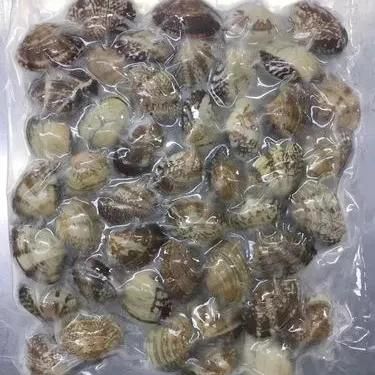 Fresh Short Necked Meat Frozen Baby Clams Shell On Style FROZEN Packaging Bag Brand Name MTH Address FUJIAN Ingredients - Image 5