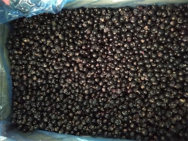 Frozen Blackcurrant Fruit Size 8-16mm Style FROZEN Address CHINA Weight (kg) 10 Packaging Bulk Content FROZEN Ingredients - Image 4