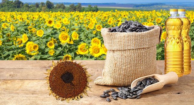 Premium Quality Ukrainian Refined Sunflower Cooking Oil 100% Organic For Sale in bulk - Image 1