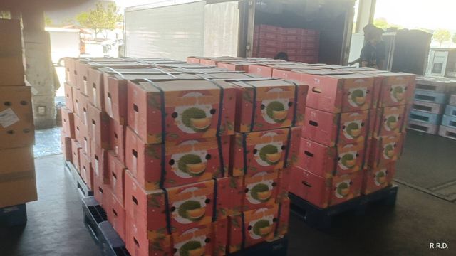 Whole Durian Mon Thong Premium Fresh Organic King of Fruits Original Taste From Thailand Rich & Creamy 3-4 PCS/BOX (Whole) - Image 3