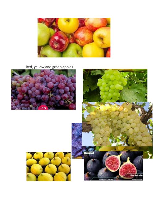 Foodstuff Texture Dried Purity 100% Pure Origin Native Iranian Form Dried Or In Extracted Liquid Form Oil Type Olive Oil (unrefined And - Image 3