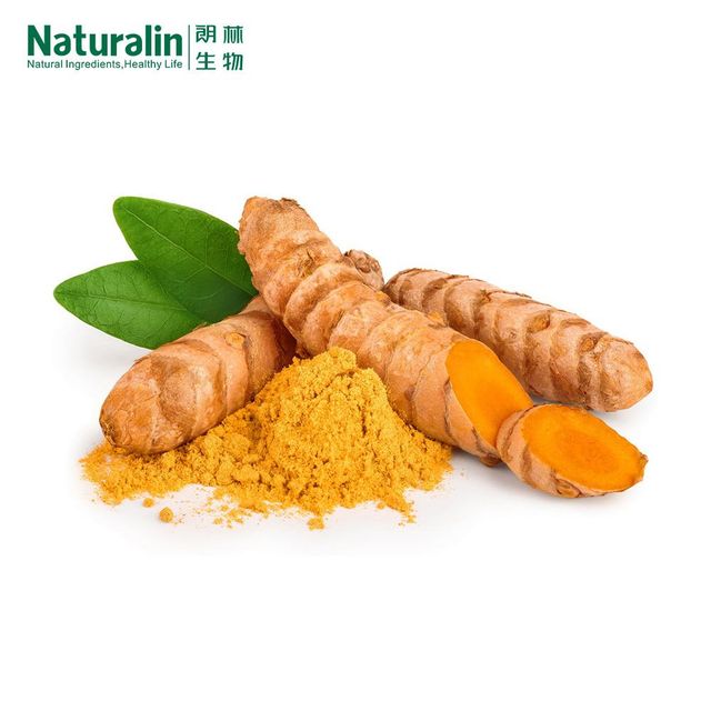 Turmeric Extract - Image 4