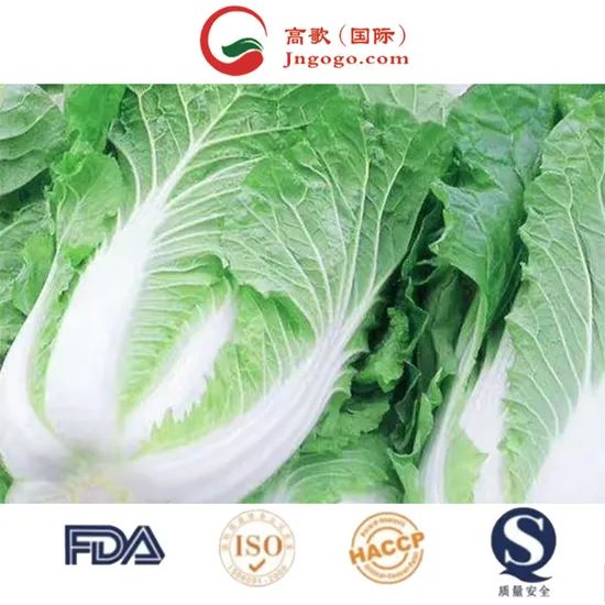 Delicious Frozen Chinese Cabbage Size 1.5kg Kind Fresh Color Green Origin China Trademark GOGO HS Code 0706100001 Storage Method - Image 6