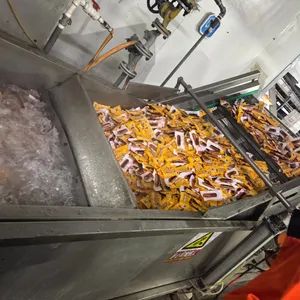 Full Automatic Sausage Meat Food Continuous Thermoforming Forming Packing Line Vacuum Sausage Machine Packaging Machine - Image 6