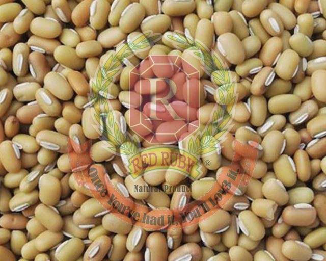 Yellow Bamboo Beans Size 5 Grade A Style Dried Packaging Bulk Weight (kg) 25 Drying Process AD Place of Origin Myanmar Ingredients Bamboo - Image 1