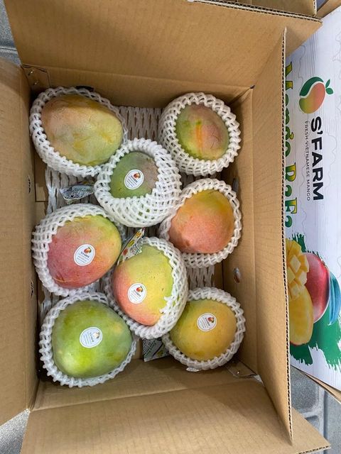 Premium Fresh R2E2 Mango from Vietnam - Image 1