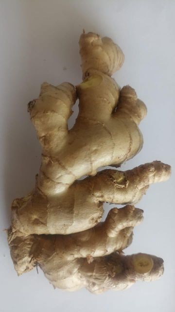 Fresh Ginger - Image 4