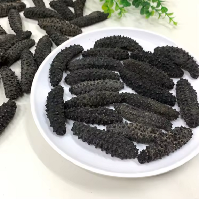 Buy Top Quality Frozen Sand Fish Sea Cucumber Dried Sea Cucumber Food & Beverage Seafood Cucumber Cheap Price - Image 3