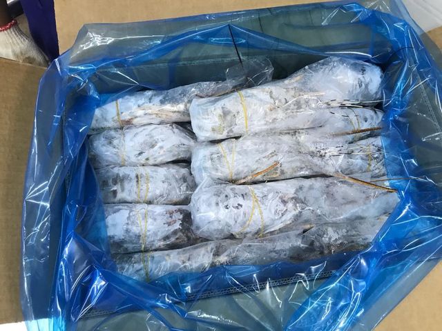 FROZEN LOBSTER WHOLE – product photo 4, product detail gallery