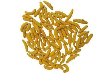 Turmeric Finger (Nizamabad, Salem, Rajapuri) - Image 3