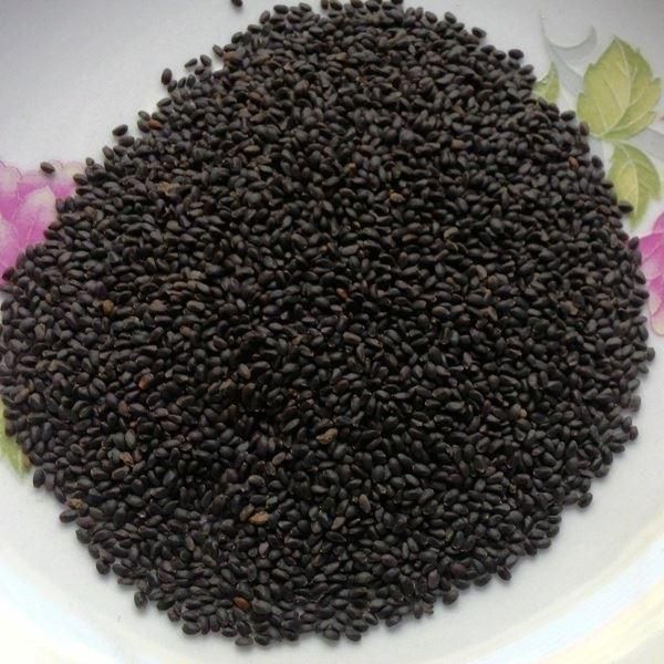 Chia Seeds available in bulk for sell - Image 5